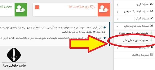 سامانه جامع صورت های مالی صورا